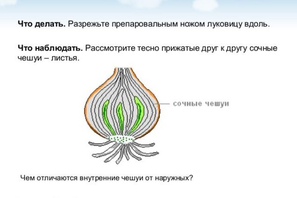 Кракен рабочая ссылка на официальный магазин